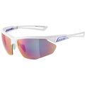 Alpina Nylos HR lunettes de sport Blanc