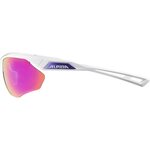 Alpina Nylos HR sport glasses