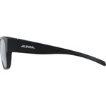 Alpina Overview II Q lunettes de soleil (silmälasien päälle)