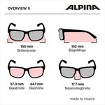 Alpina Overview II Q サングラス (silmälasien päälle)