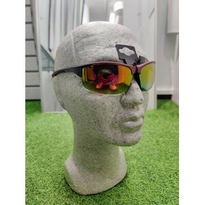 Donnay S18 solglasögon